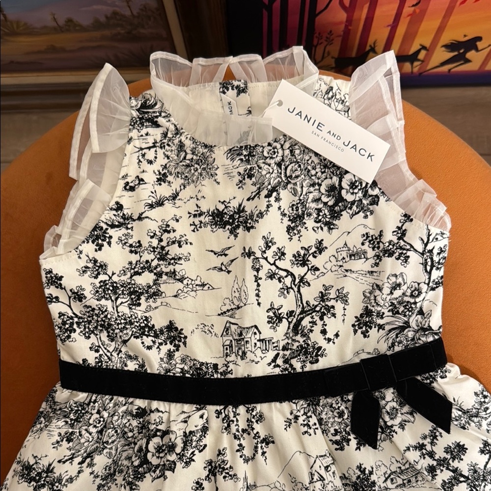 Janie and Jack Black and Cream Dress